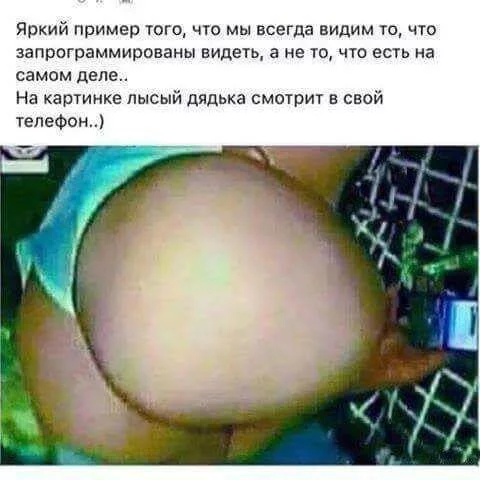 hfhd5h.webp