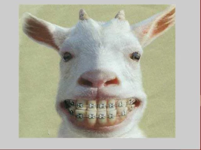 hfhde8.webp