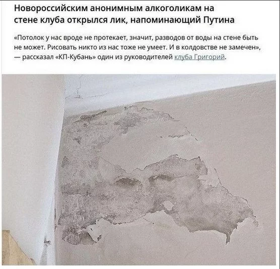 hfhdf9.webp