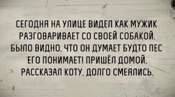 hfhg4d.webp