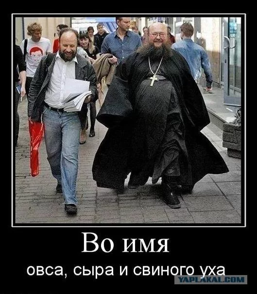 hfjjg0.webp