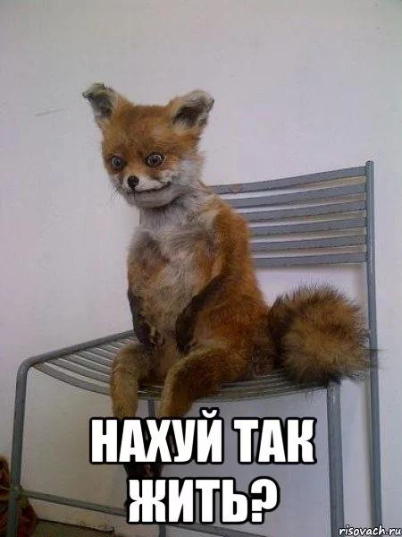 hg2gjj.webp