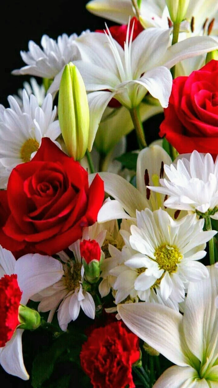 hg3bhd.webp