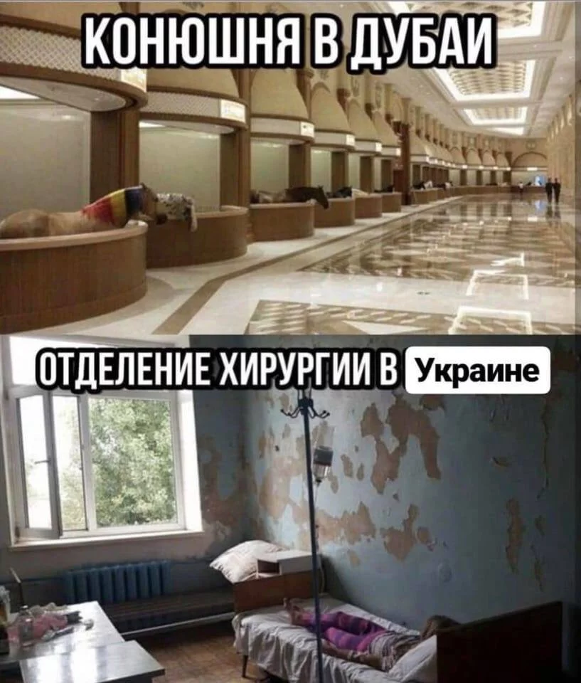 hg6bfe.webp