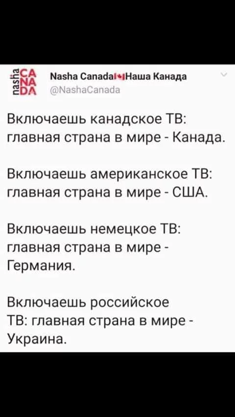 hg7dhg.webp