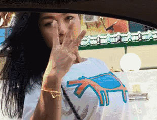 hgaag1.gif