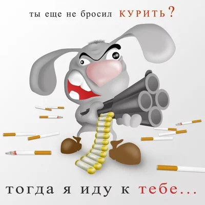 hgbd3e.webp
