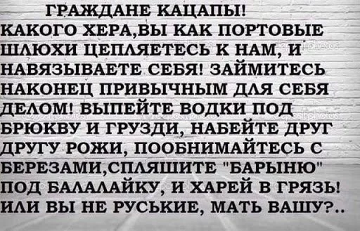 hgbhh3.webp