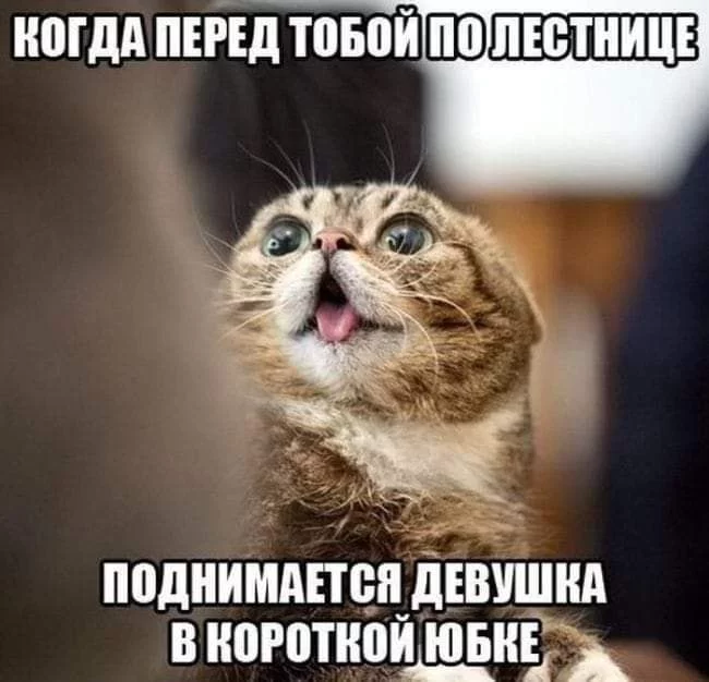 hgcde2.webp