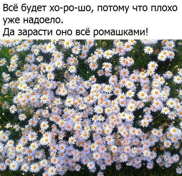 hgdae3.webp