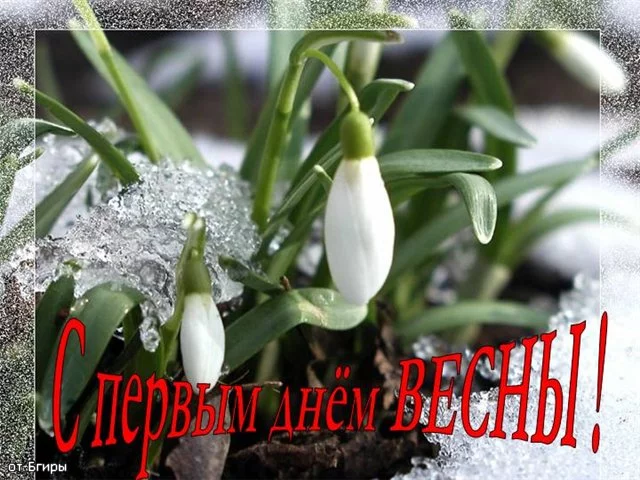 hgdee7.webp