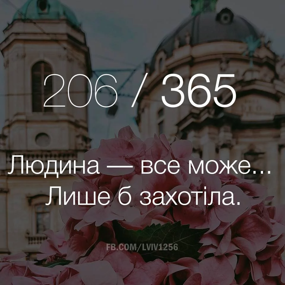 hgdhg7.webp