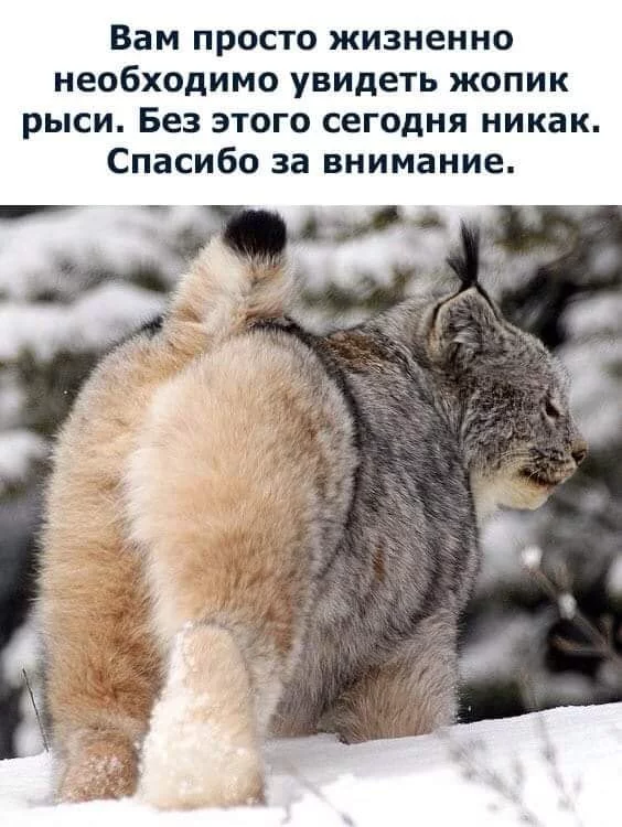 hge8ah.webp