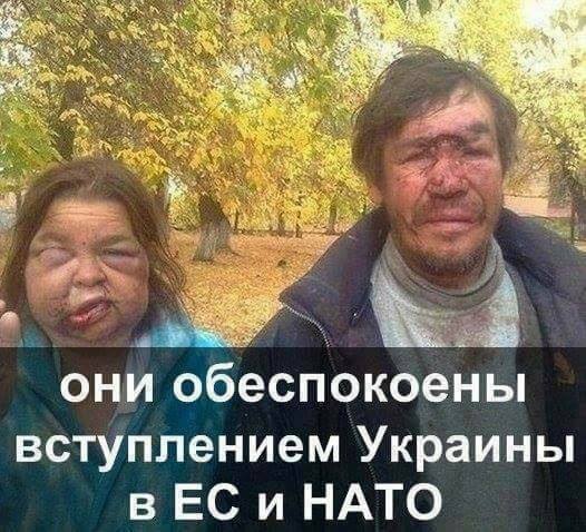 hgf7fa.jpg