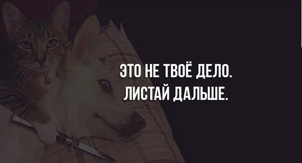 HGFBxrk7d3M.webp