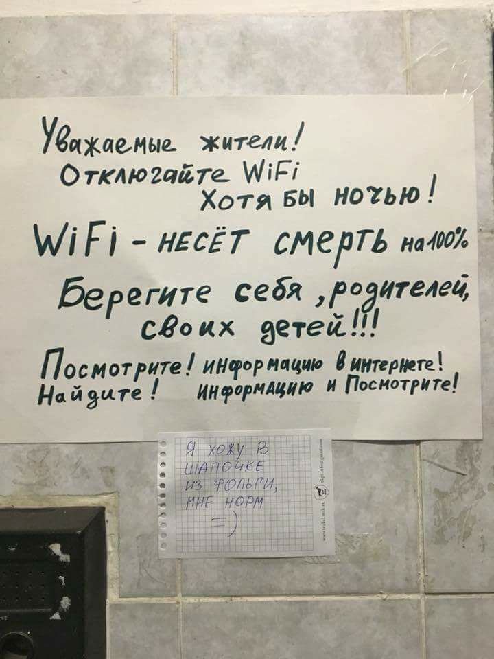 hgfdg1.jpg