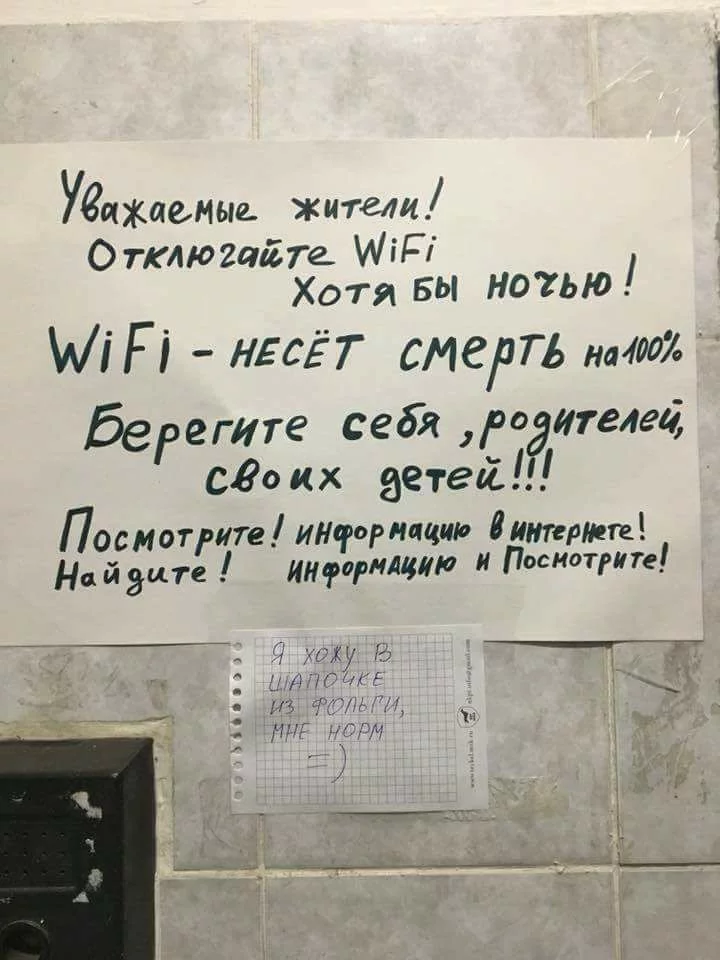 hgfdg1.webp