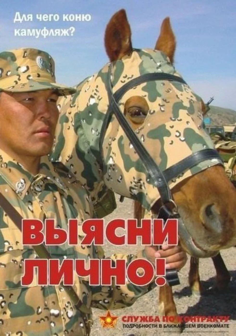 hgfge3.webp