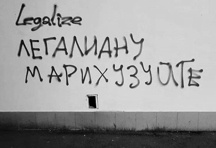 hgg7hj.webp