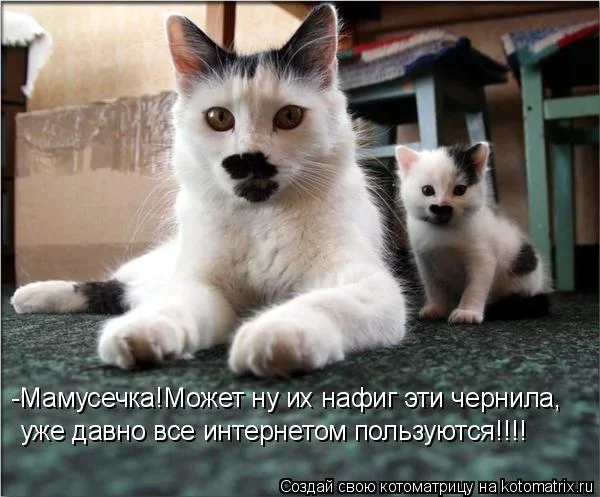 hggb4g.webp