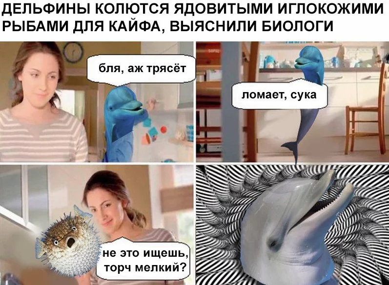 hgh0eb.webp