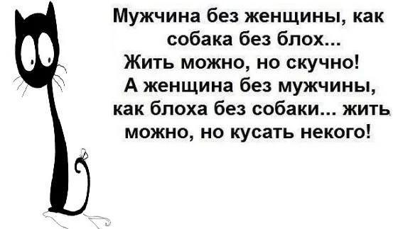 hghja8.webp