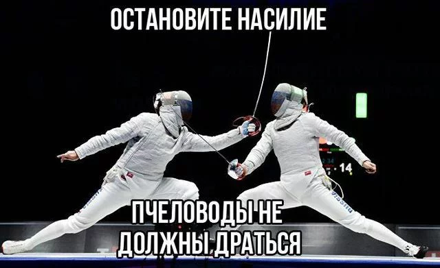 hgjaj3.webp