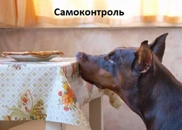 hh2fgf.webp