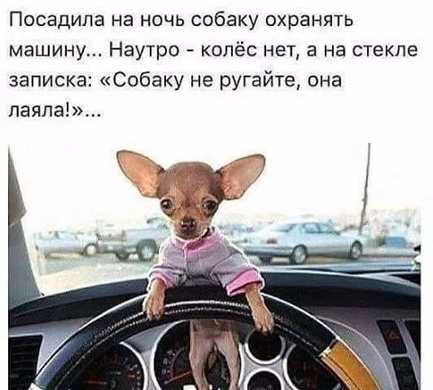 hh9cah.webp