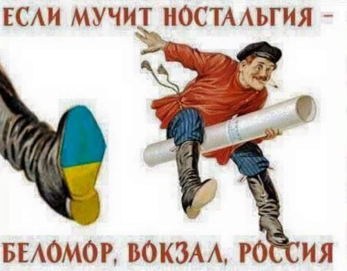 hha0fj.webp