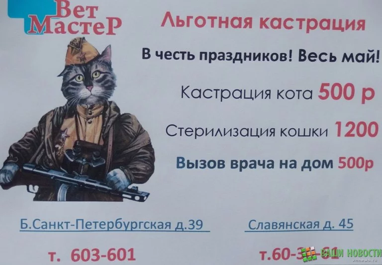 hha6cf.webp