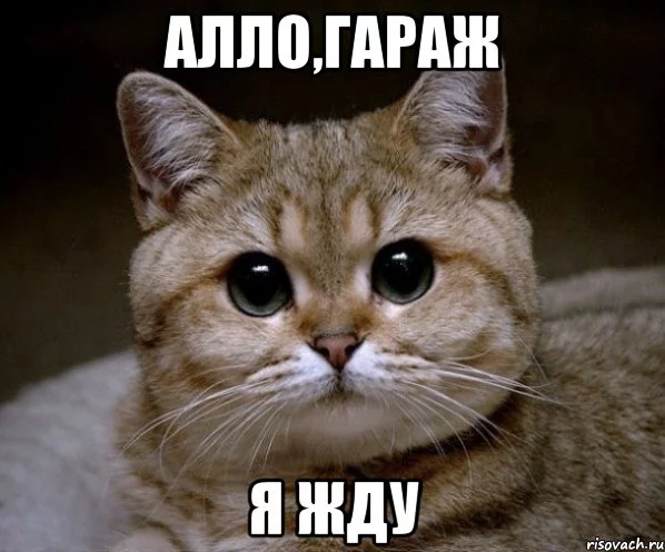 hhae4g.webp