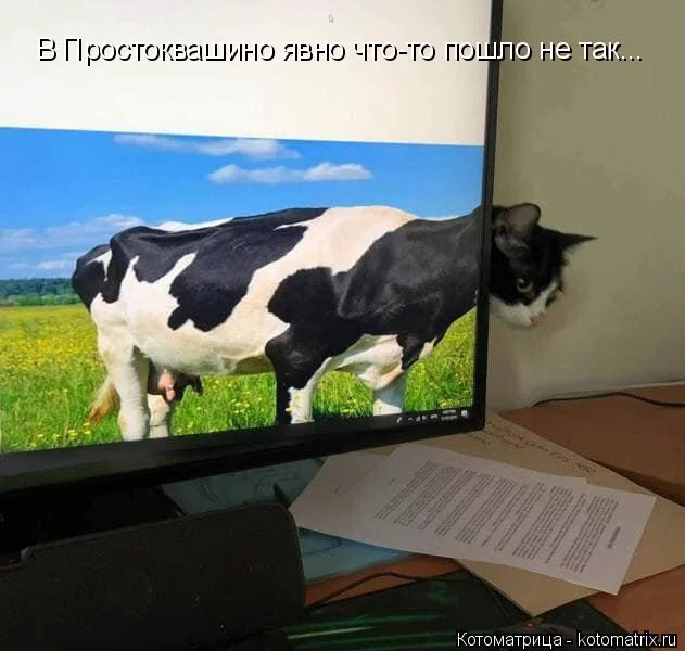 hhbb6d.webp