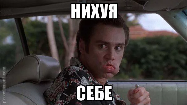 hhcch6.webp