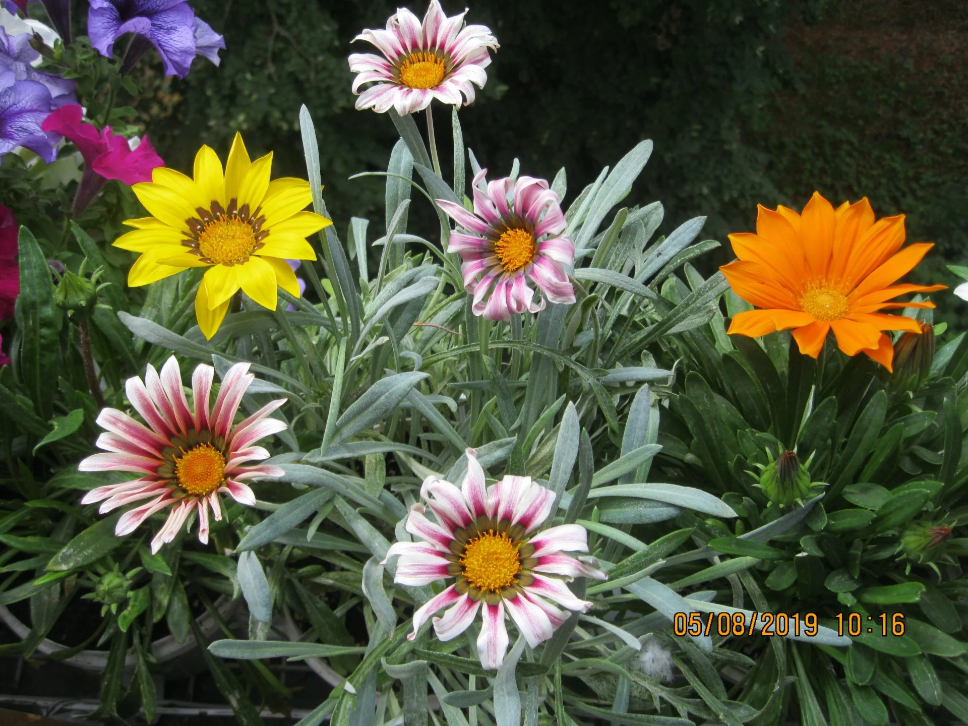 hhch0h.webp