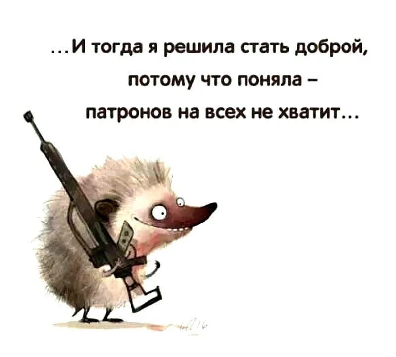 hhch6d.webp