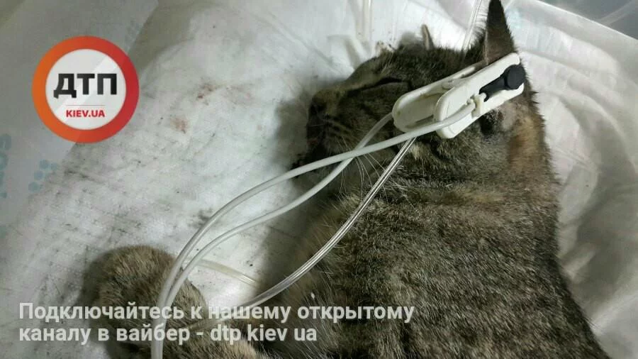 hhcj4d.webp