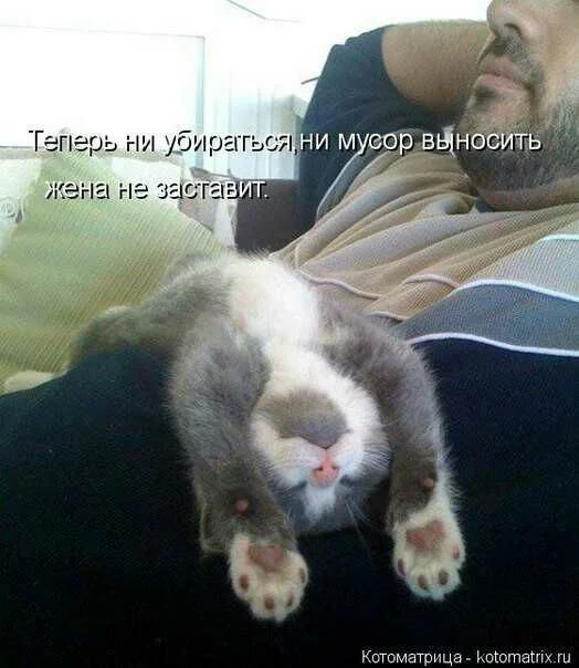 hhd2jf.webp