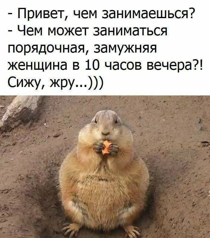 hhdb6b.webp