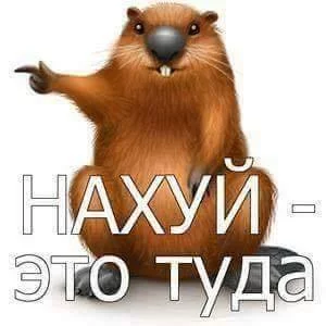 hhdh1a.webp