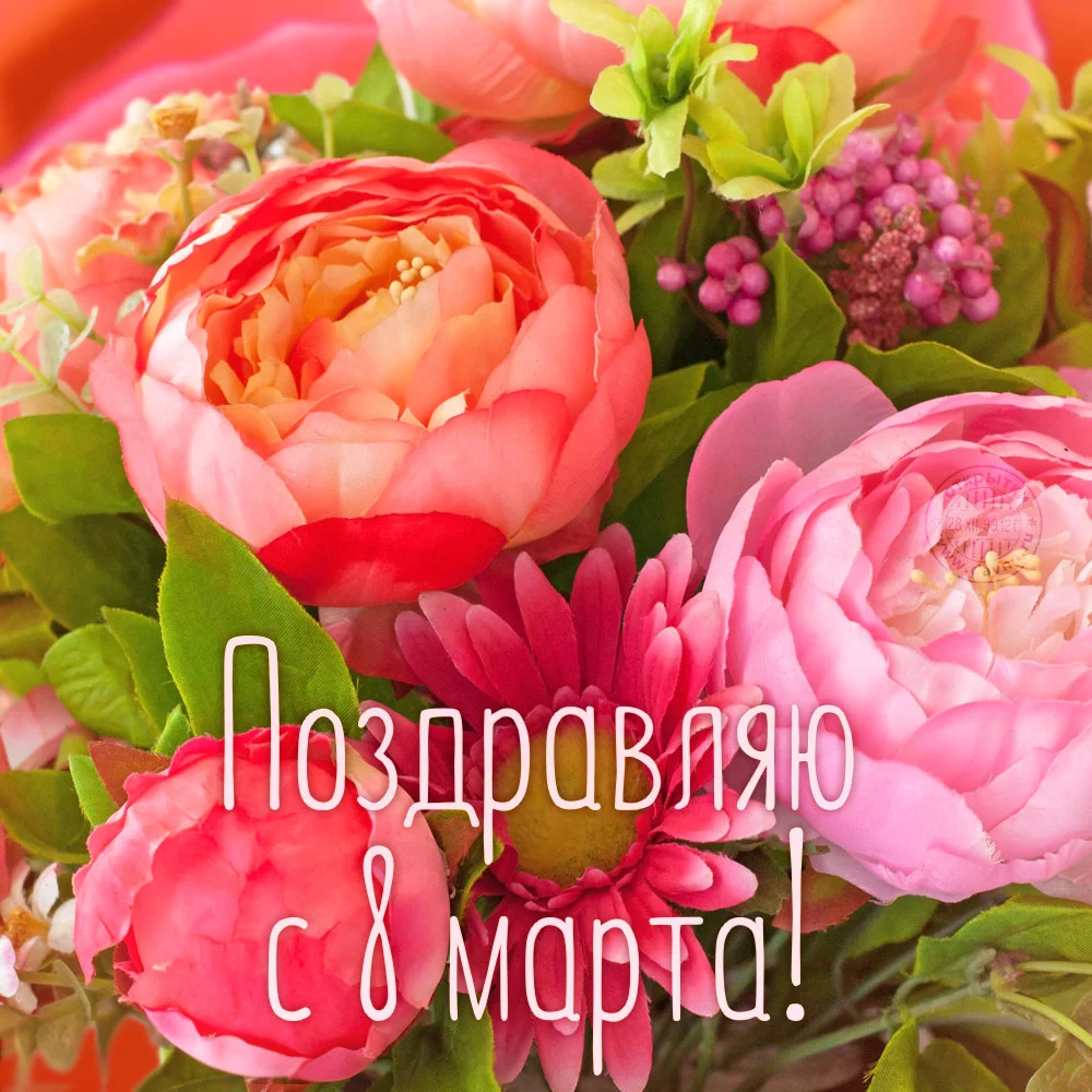hhe1hd.webp