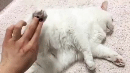 hheaa9.gif