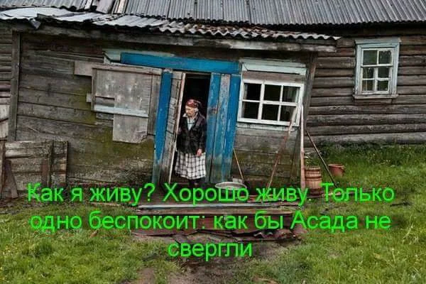 hhf8ha.webp