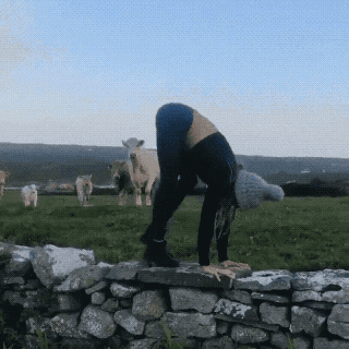 hhfd1c.gif