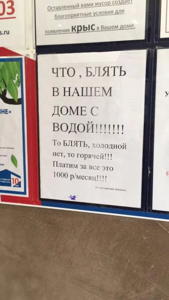 hhhg8c.webp