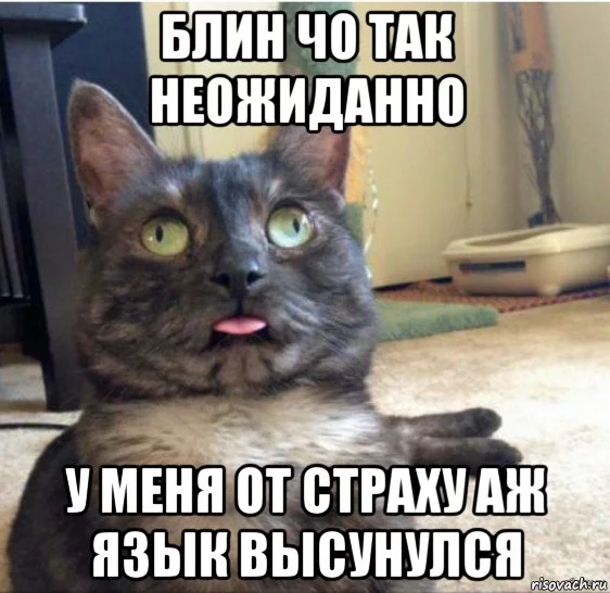 hhj4fd.webp
