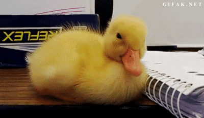 hhj7ae.gif