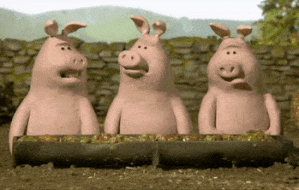 hhjdg7.gif
