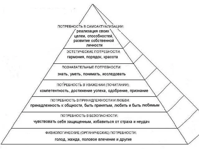 hierarchy000.webp