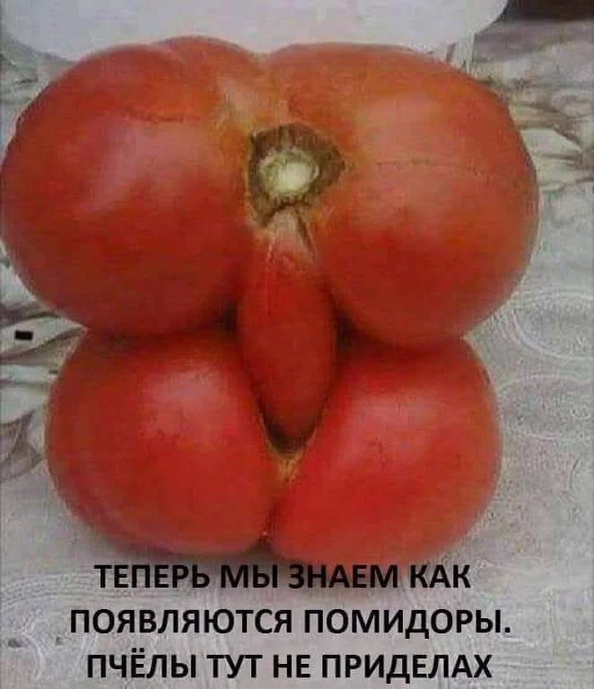 hj0egd.webp